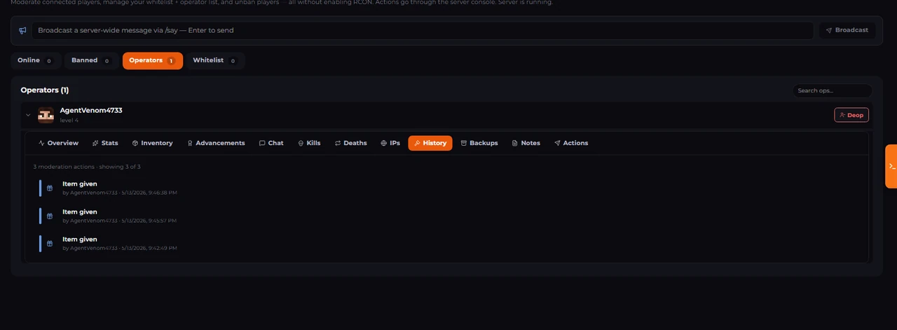 Minecraft player manager audit log of moderation actions in the LPV5 panel